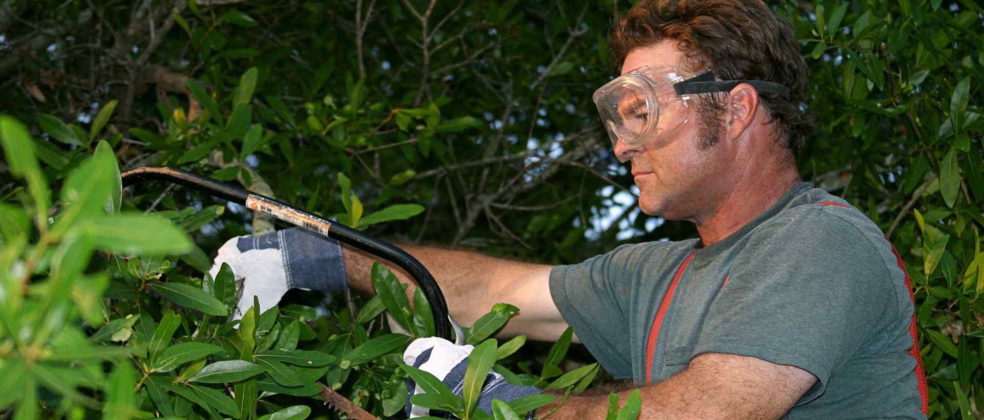 garden clearance TW8